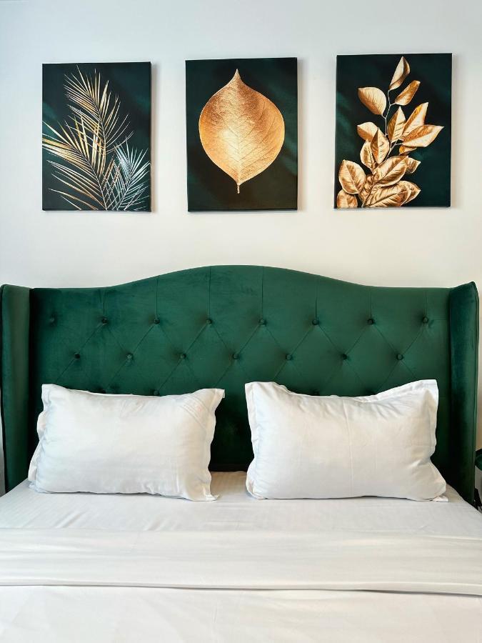 Koa - Urban Penthouse Apartment บราชอฟ ภายนอก รูปภาพ